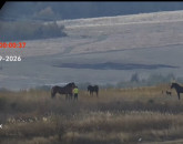 Primăria Dumbrăviţa vede mai bine ce era greu de observat 