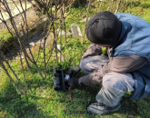 INFORMAREA POPULAŢIEI: activităţi de deratizare şi  activităţi de aplicare a tratamentelor fitosanitare pentru combatere boli şi dăunători 
la arbori, trandafiri şi buxus 