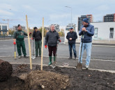 Încep plantările de toamnă în Brașov. Cetățenii sunt invitați să se alăture campaniei