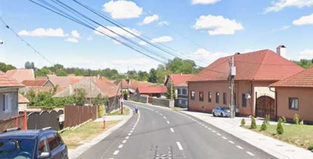 Hoghiz: Omorât de urs