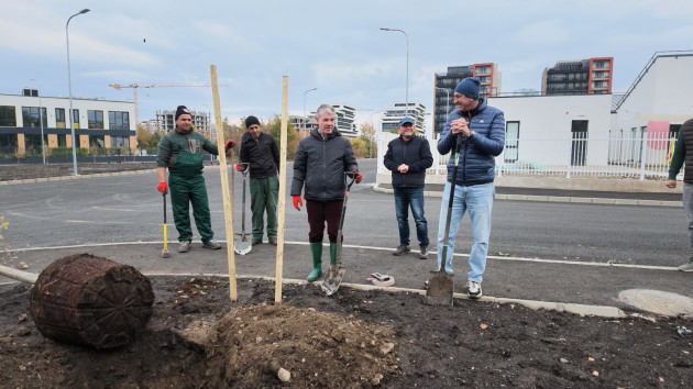 Au început plantările de toamnă în Brașov. Cetățenii sunt invitați să se alăture campaniei