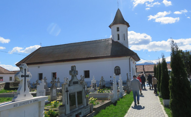 Mutăm liliecii, apoi lucrăm 
