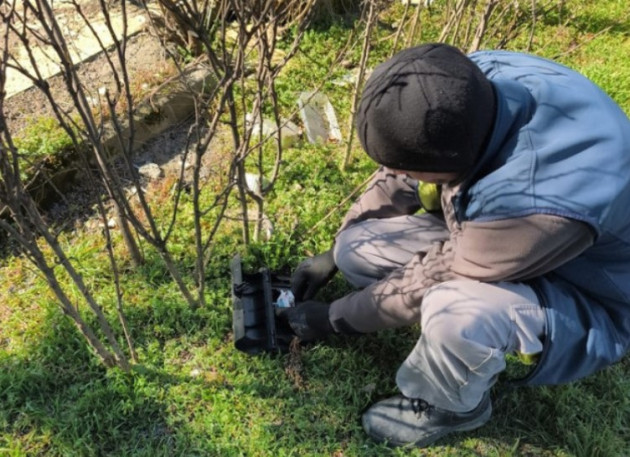 INFORMAREA POPULAŢIEI: Activităţi de deratizare şi  activităţi de aplicare a tratamentelor fitosanitare pentru combatere boli şi dăunători 
la arbori, trandafiri şi buxus 
