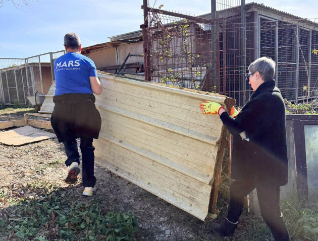 „Viaţă de câine”, dar mai bună