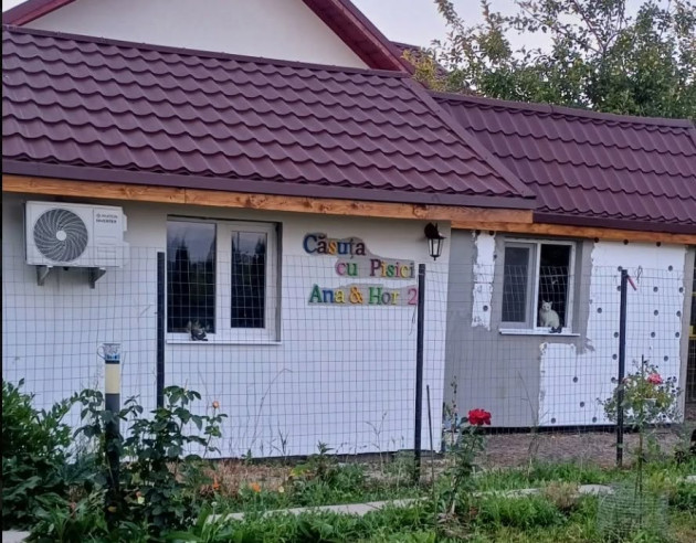 Casa cu 61 de pisici