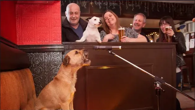 „Karaoke pentru căţei” la Hurez