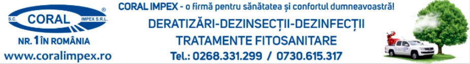 banner promotional