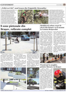 Pagina 6