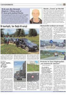 Pagina 7