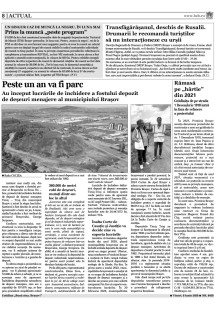 Pagina 8