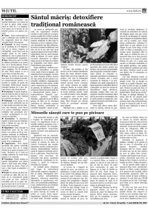 Pagina 8