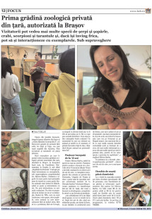 Pagina 12