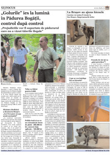 Pagina 12