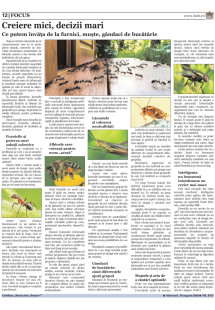 Pagina 12