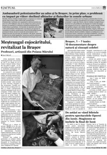 Pagina 5