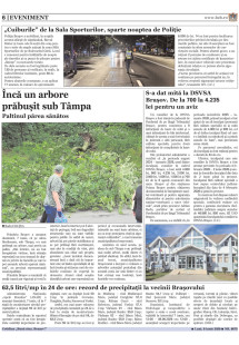 Pagina 6