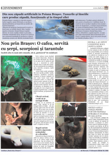 Pagina 6