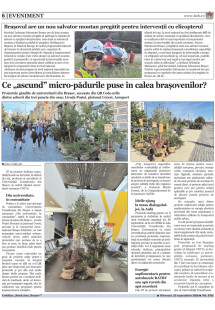 Pagina 6