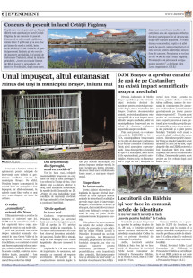 Pagina 6
