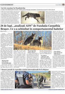 Pagina 6