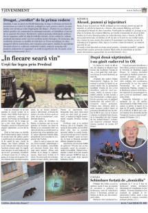 Pagina 7