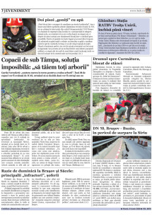 Pagina 7