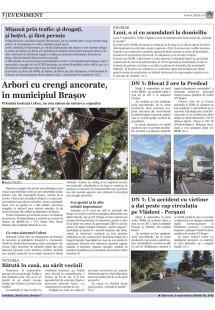 Pagina 7