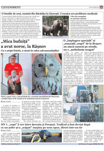 Pagina 7