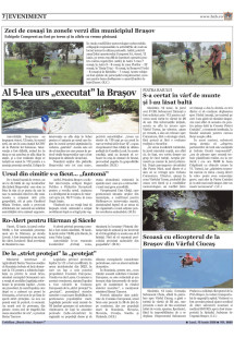 Pagina 7