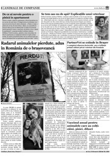 Pagina 8