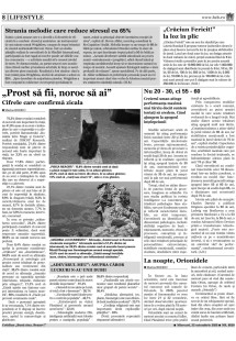Pagina 8
