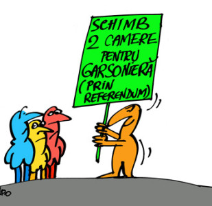 andografia zilei