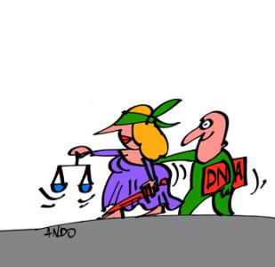 andografia zilei