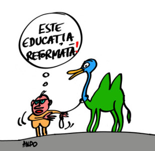 andografia zilei