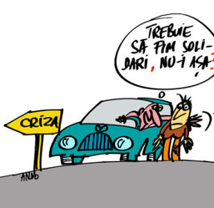 andografia zilei