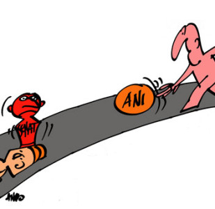 andografia zilei