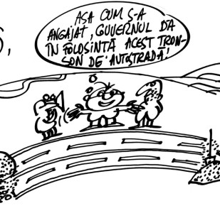 andografia zilei