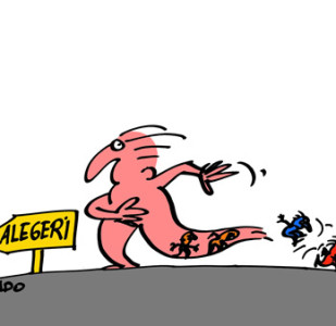 andografia zilei