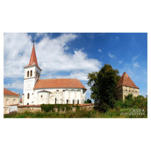 Beia, o reîntoarcere în epoca medievală