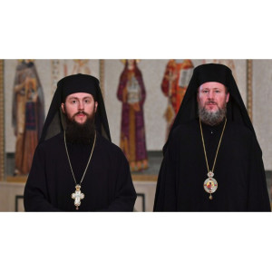 Noi episcopi vicari