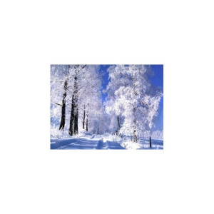 Fulguleţ ar vrea să zboare