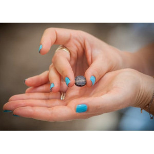 Un sigiliu de lut din timpul  regelui biblic Iosia