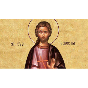 Milostenia – rodul dragostei