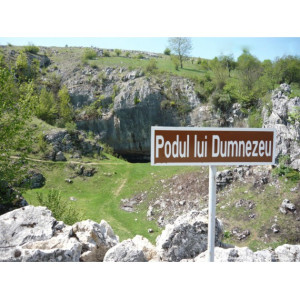 Dumnezeu dă mâini, dar nu construieşte poduri