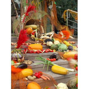 Bucuria rodului bogat