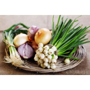 Leacuri pe bază de ceapă