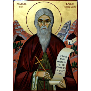 Cuviosul Antonie de la Iezerul-Vâlcea