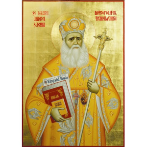 Sfântul Ierarh Andrei Şaguna