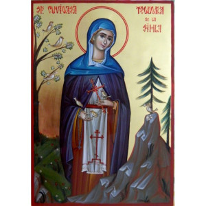 Sfânta Cuvioasă Teodora de la Sihla